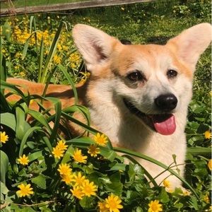 Meet your Posher, Millena